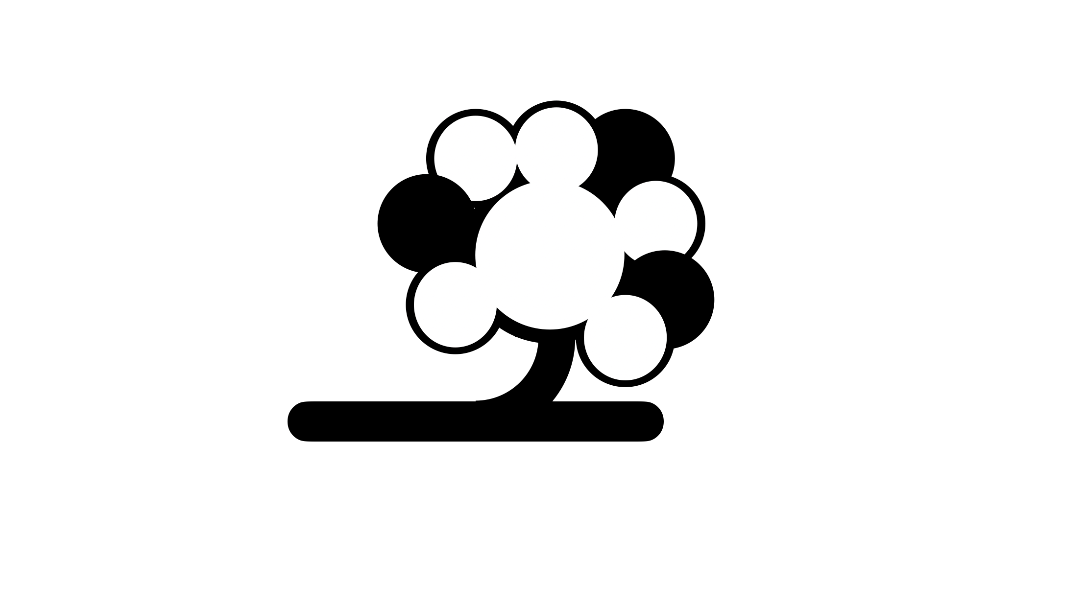 Kojiesse post thumbnail image